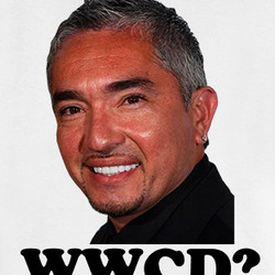 Cesar Millan Dog Whisperer Hope T Shirt $19 Buy Cesar Millan Dog ...