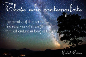 Those who contemplate the beauty of the earth find reserves of ...