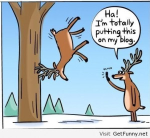 Funny winter image - Funny Pictures, Funny Quotes, Funny Memes, Funny ...