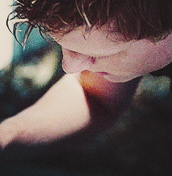 spring. The bright yellow that means rebirth instead of destruction ...