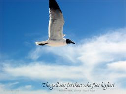 jonathan+livingston+seagull+quotes | Serenity Beach Quotes - Online ...