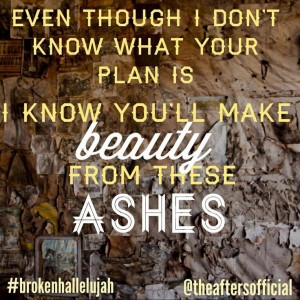 Beauty from ashes