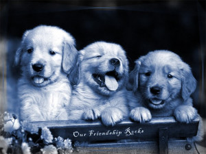friendship wallpapers free wallpaper image cute kid and cute puppy ...