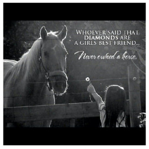 Equestrian Quotes and Sayings | horse quotes/sayings
