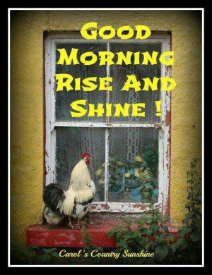 Good mornin' y'all! Rise & shine!