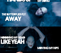 funny-lord-voldemort-miley-cyrus-party-in-the-usa-360262.jpg