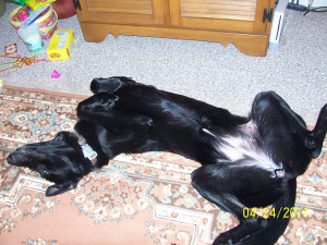 Flip Wilson Geraldine Quotes