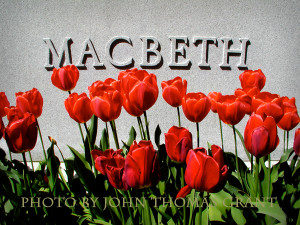 Take the Quiz. How does Lady Macbeth explain Macbeth's strange ...