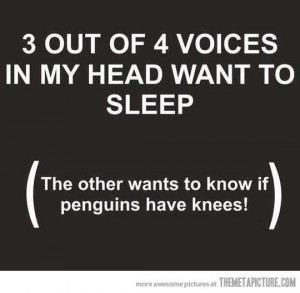out of 4 voices in my head want to sleep, the other wants to know if ...