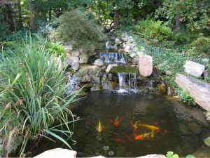 water garden ideas that very beautiful and interesting modern design
