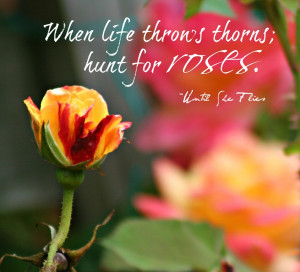 When life throws thorns; hunt for roses. ~Until She Flies