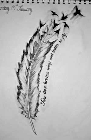 Feather Feathers Birds Quote