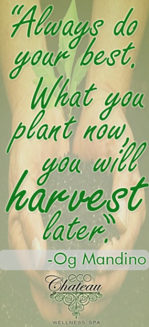 ... will harvest later og mandino # quote # motivational # inspirational