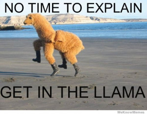 no-time-to-explain-get-in-the-llama