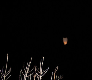 We all gathered together, lit candles and sent up the sky lanterns.