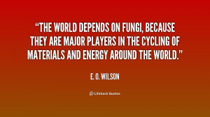 The world depends on fungi, because they are major players in the ...