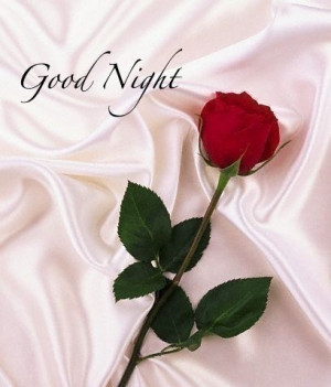 ... ab hogayi hai black and beautiful night sleep well my dear good night
