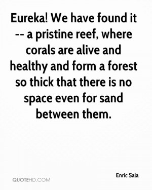 Eureka! We have found it -- a pristine reef, where corals are alive ...