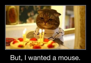 Birthday Cat - Funny pictures
