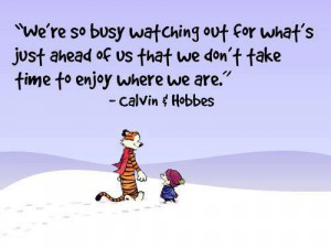calvin and hobbes, inspirational, quotes, snow, take me as i am ...
