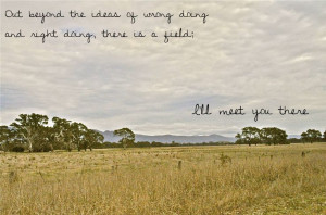 ... poet and Sufi mystic. Let's you and I meet in that field, shall we