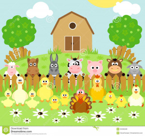 Funny Animals Photo Farm