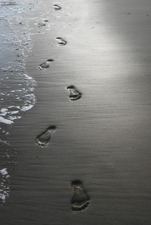 ... Pictures how to sit at a computer funny quotes pics photos pictures