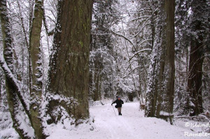 Thanks for reading this and putting up with my quotes today. (Click ...