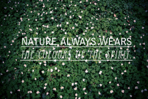 30 Most Splendid Nature Quotes
