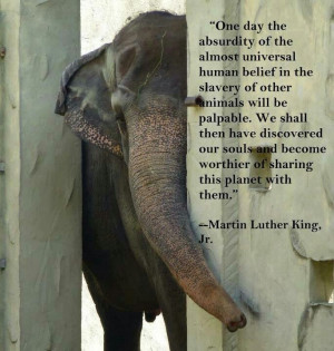 human belief in the slavery of other animals will be palpable ...