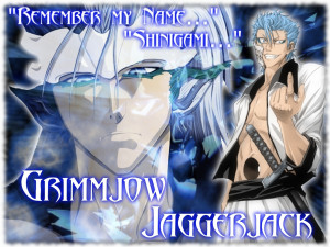 Grimmjow Jeagerjaques Grimmjow