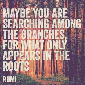 ... are searching among the branches, for what only appears in the roots