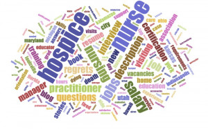 Hospice Nurse Career Guide