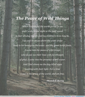 The Peace of Wild Things” – Wendell Berry motivational ...