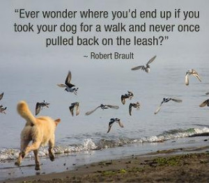 Ever wonder..... #quote