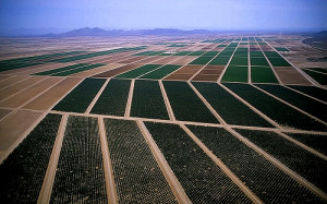 photo of Desert Irrigation, Pinal County, Arizona, AZ United States HD ...