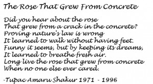 pic 5 tupac shakur poems google tupac shakur poems in