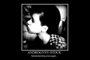 About 'Androgyny'