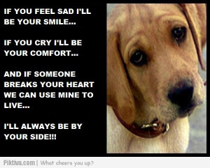 ... jpeg dog quotes sayings http www signscene co za pet quotes dogs html