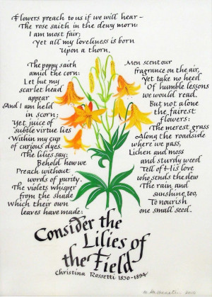 Lilies of the Field,