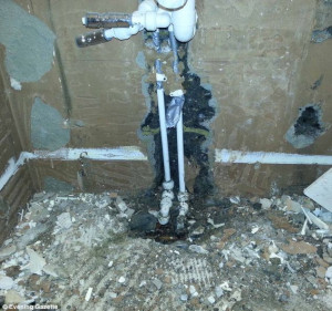 Mess: The cowboy builder left holes in the wall and bits of tile ...