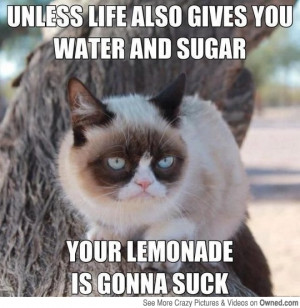 When life gives you lemons you still need...