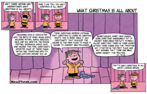 That`s What Christmas Is All About Charlie Brown