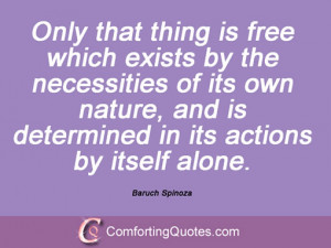 21 Quotes And Sayings By Baruch Spinoza