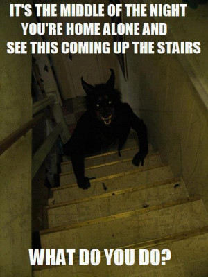 funny Halloween prank werewolf
