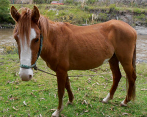 ... values, but new values didn't come along. ~ Rocco Buttiglione #quote