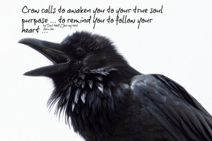 Crow calls to awaken you to your true soul purpose…. to remind you ...