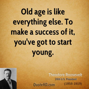 Theodore Roosevelt Success Quotes