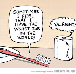 Funny photos funny toothbrush toilet paper