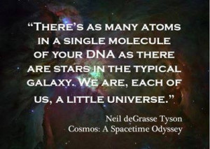 Cosmos Quotes